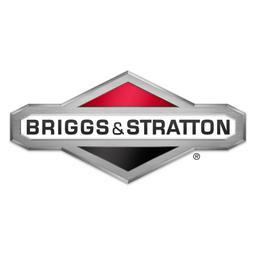 Briggs&Stratton | Oleo-Mac Briggs&Stratton | Oleo-Mac