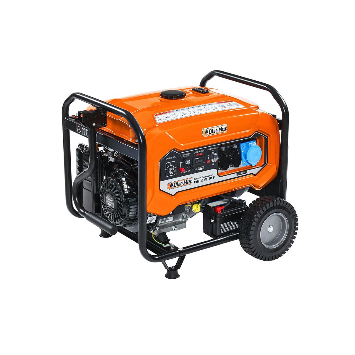 Products PGE 65E DCS_1 | Oleo-Mac