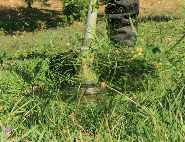 Testina Tap&Go EVO | Oleo-Mac