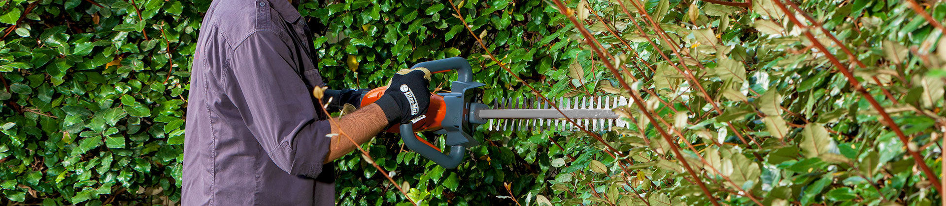 Cutting hedges with small stems with a cordless hedgecutter - Oleo-Mac