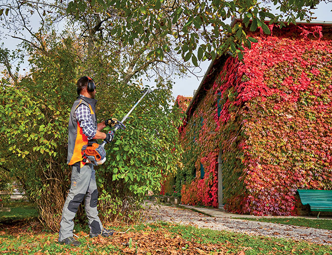 Tagliasiepi | Oleo-Mac